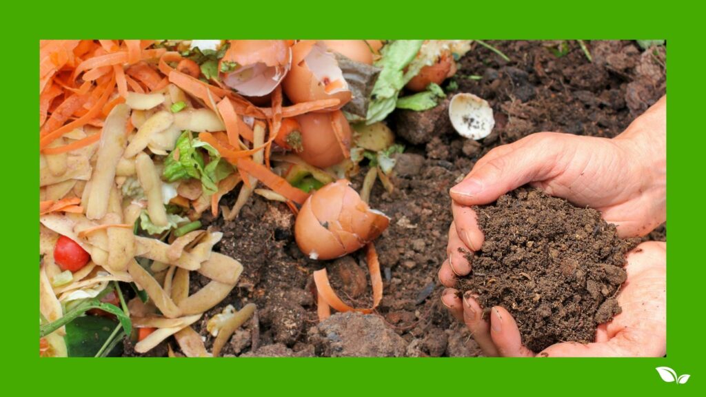 compost with food
