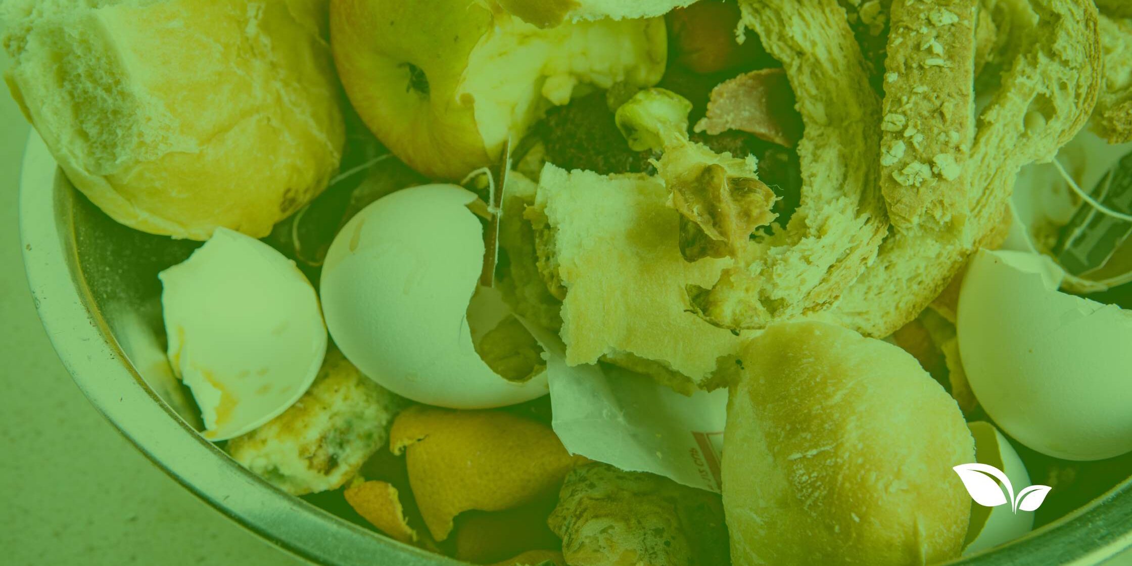 featured image food waste scraps