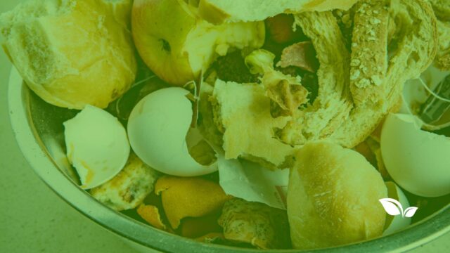 featured image food waste scraps