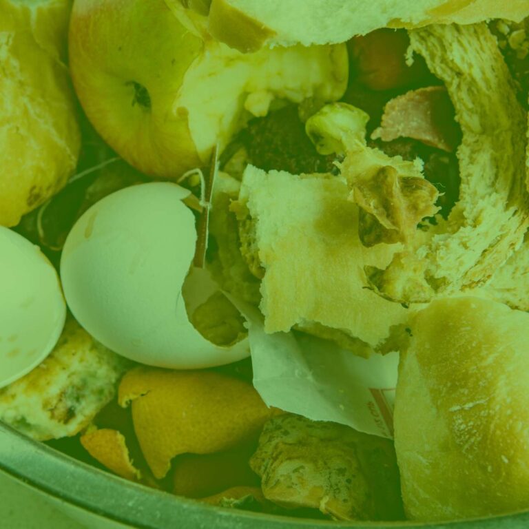 featured image food waste scraps