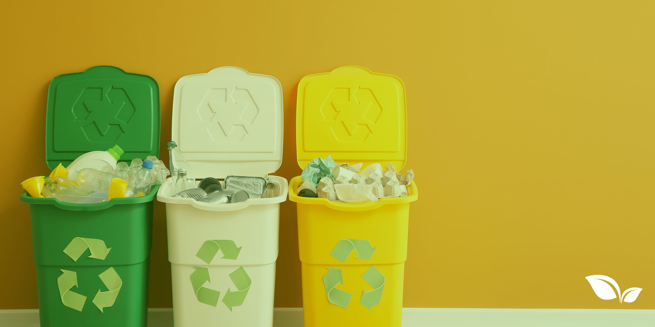 recycling bins over flowing