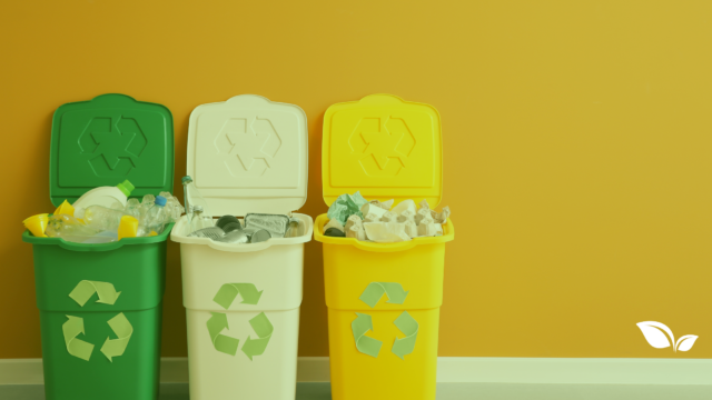 recycling bins over flowing